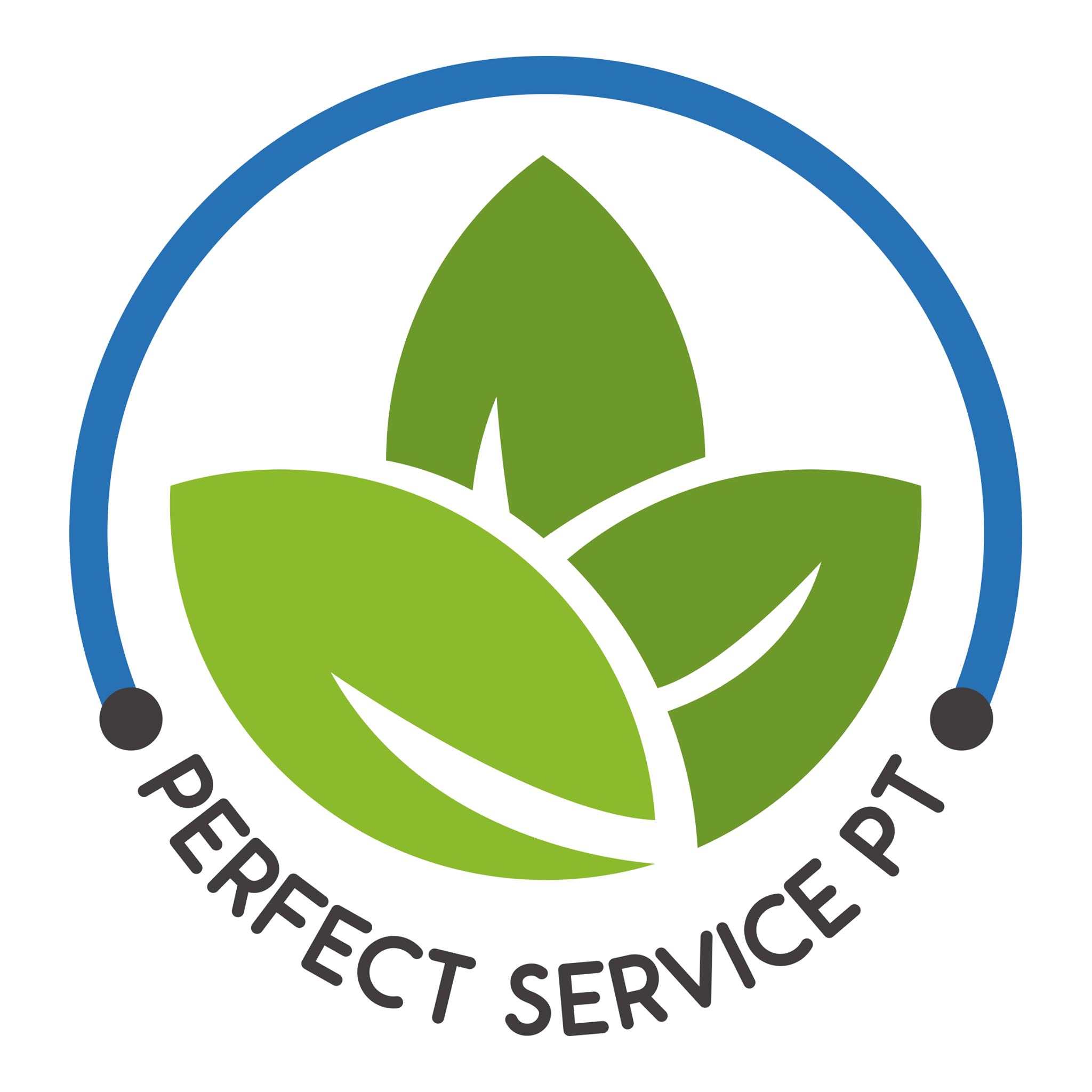 Perfect Service PT